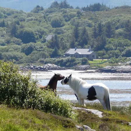 Nyaraló The Oyster House *