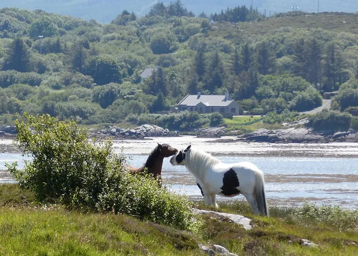 Prázdninový dům The Oyster House *
